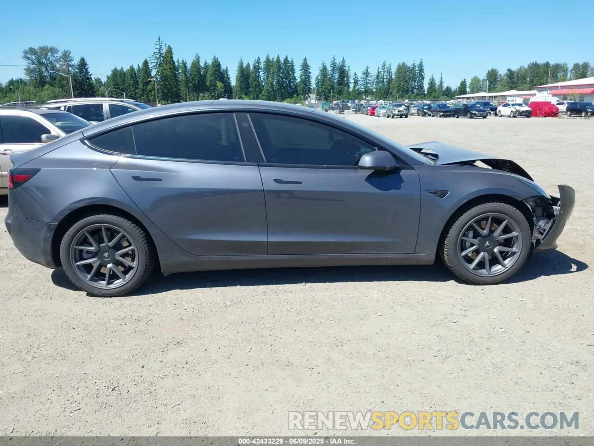 13 fotografías del automóvil dañado 5YJ3E1EB2NF182940 TESLA MODEL 3 2022