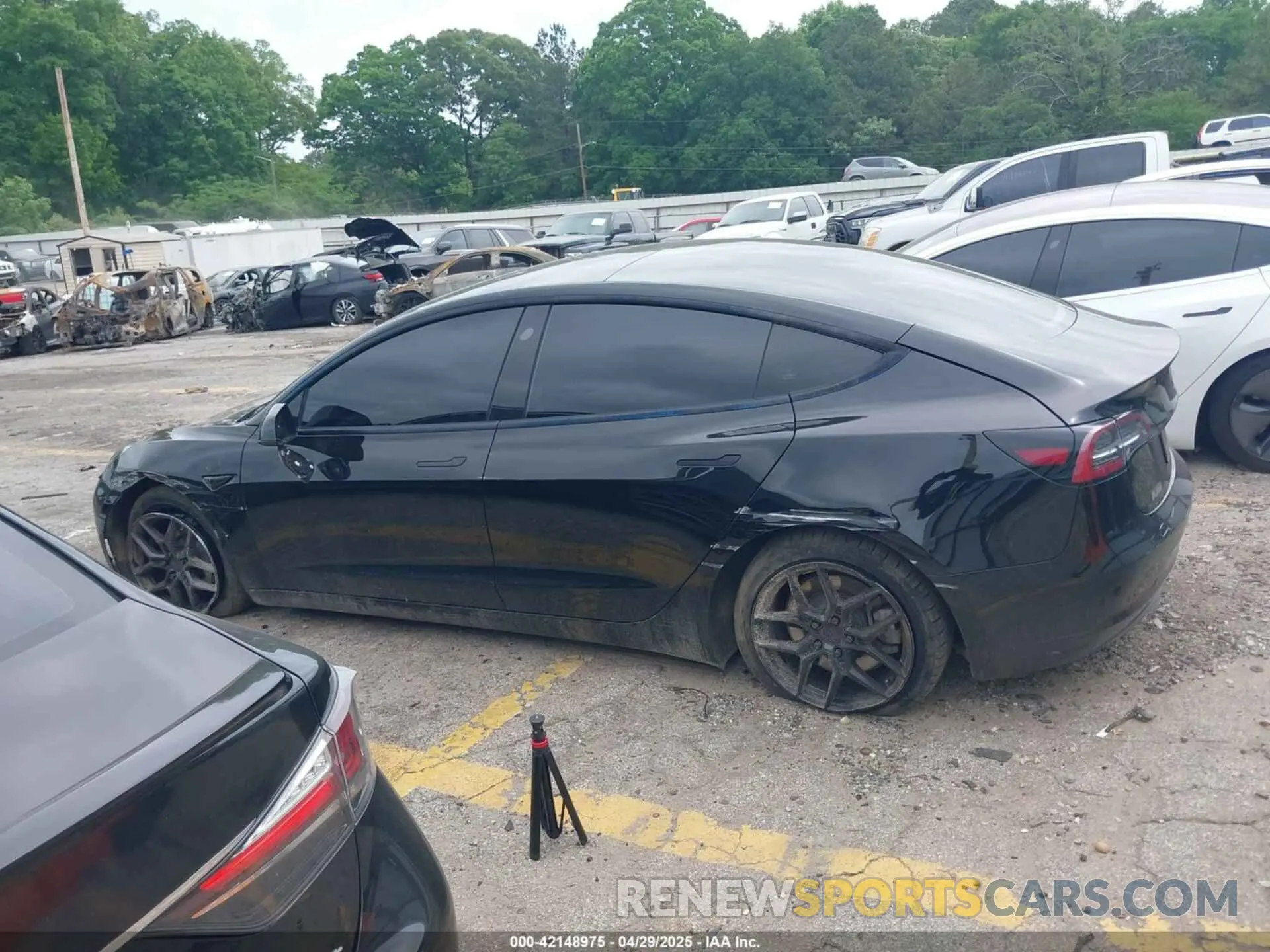 14 fotografías del automóvil dañado 5YJ3E1EB3NF289057 TESLA MODEL 3 2022