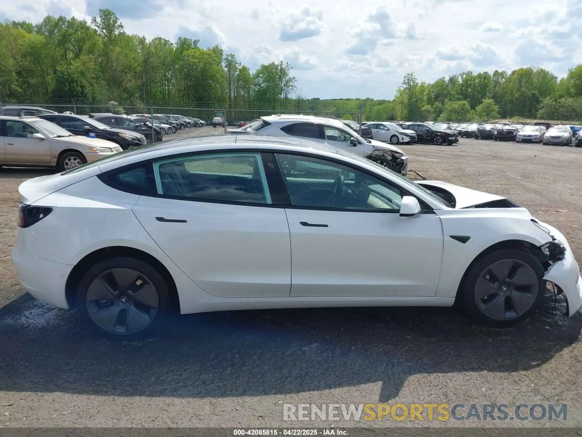 13 fotografías del automóvil dañado 5YJ3E1EB4NF183832 TESLA MODEL 3 2022