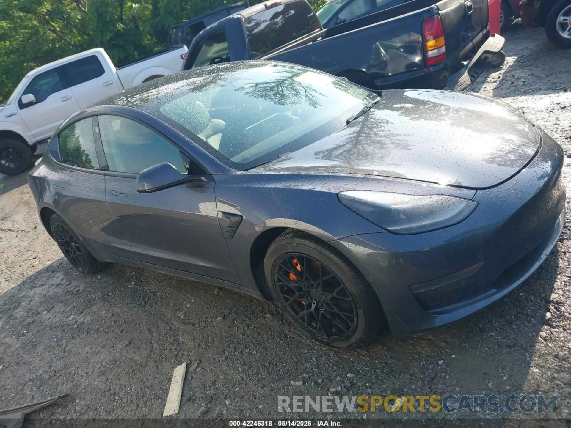 12 fotografías del automóvil dañado 5YJ3E1EB6NF189096 TESLA MODEL 3 2022