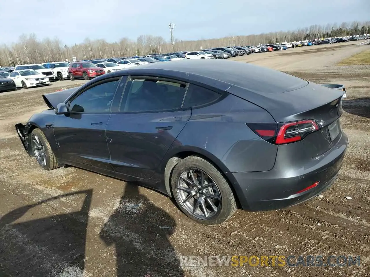 2 fotografías del automóvil dañado 5YJ3E1EB8NF116800 TESLA MODEL 3 2022