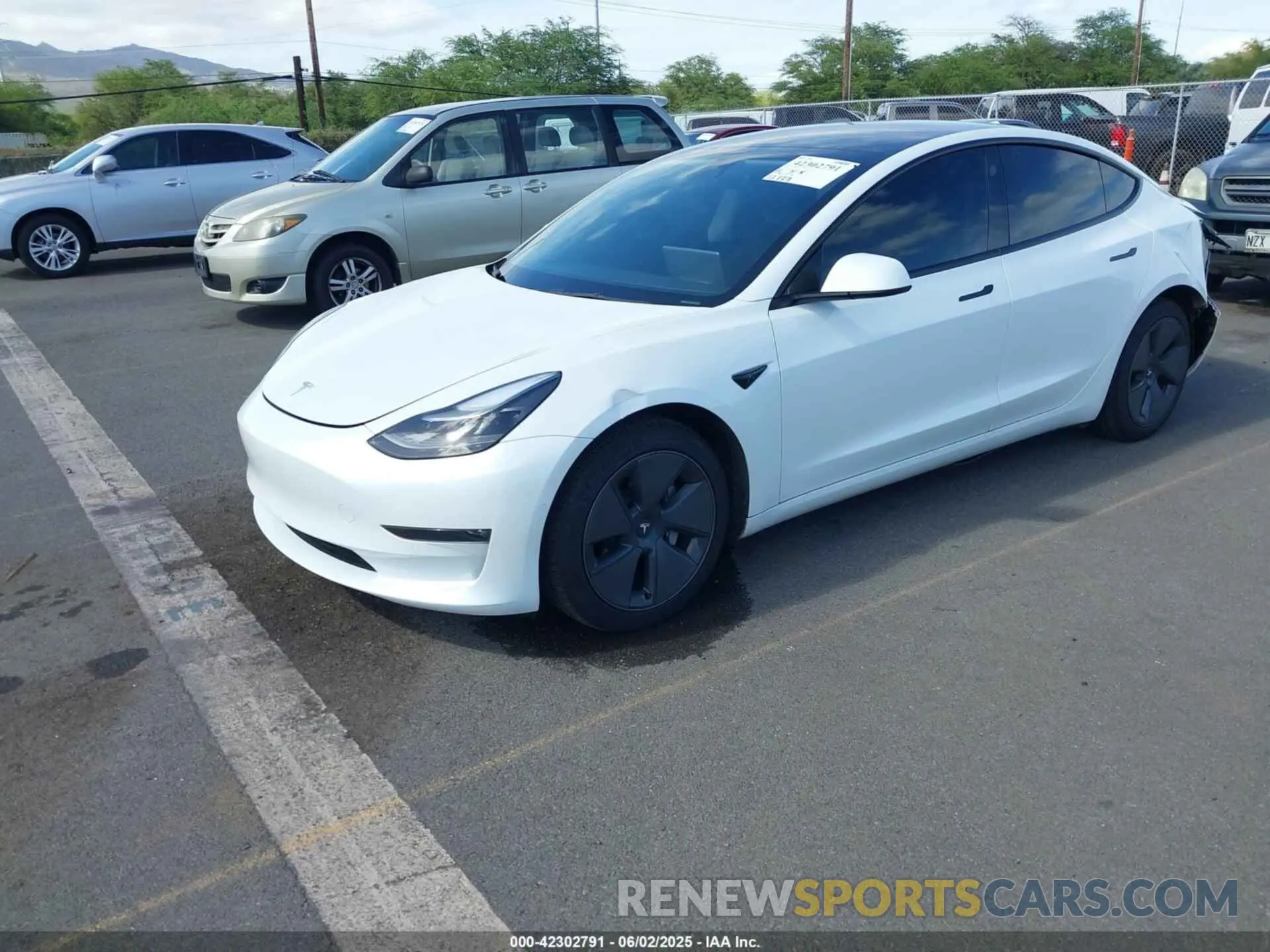 2 fotografías del automóvil dañado 5YJ3E1EB8NF232479 TESLA MODEL 3 2022