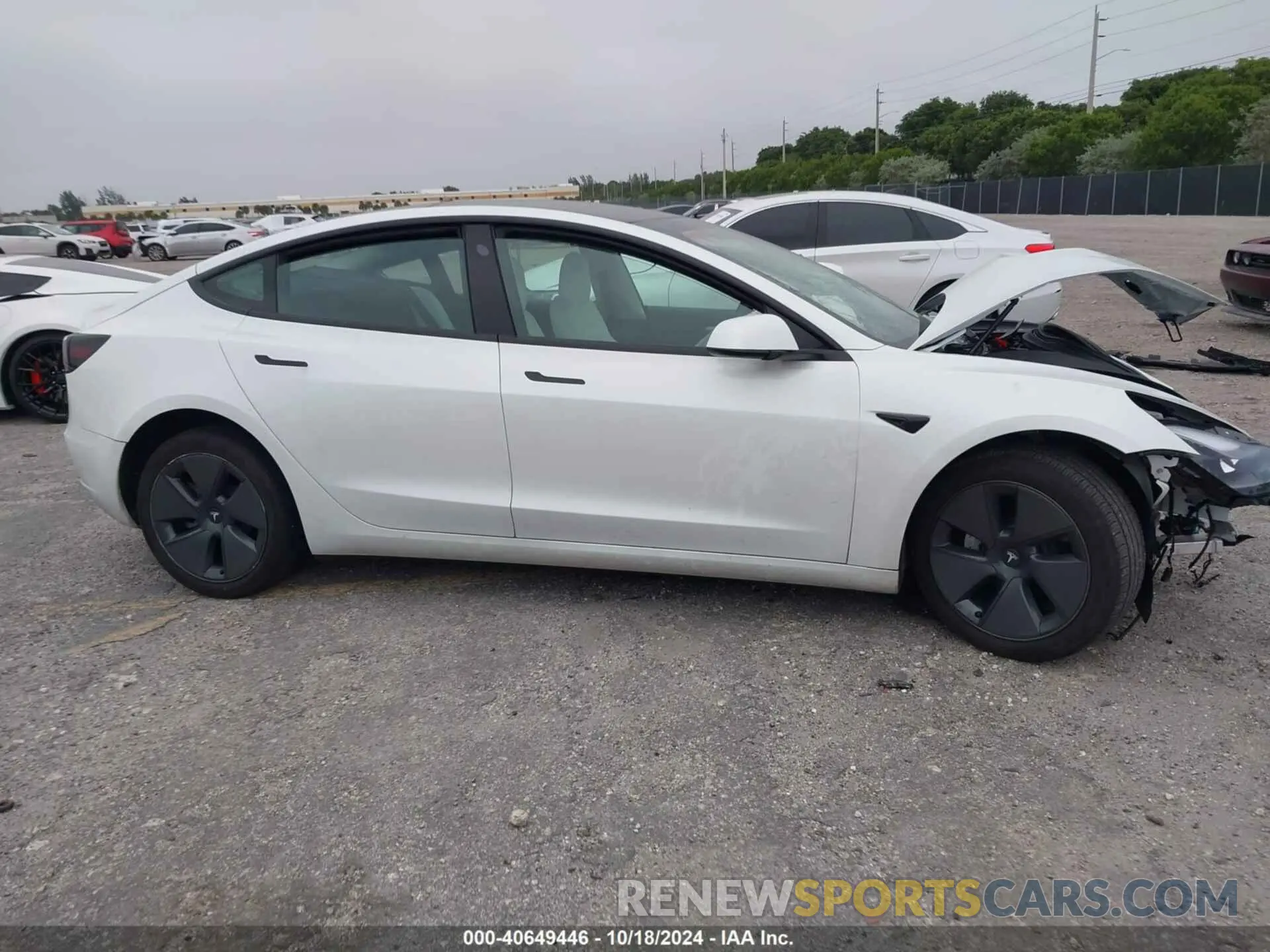 12 fotografías del automóvil dañado 5YJ3E1EA0PF383634 TESLA MODEL 3 2023