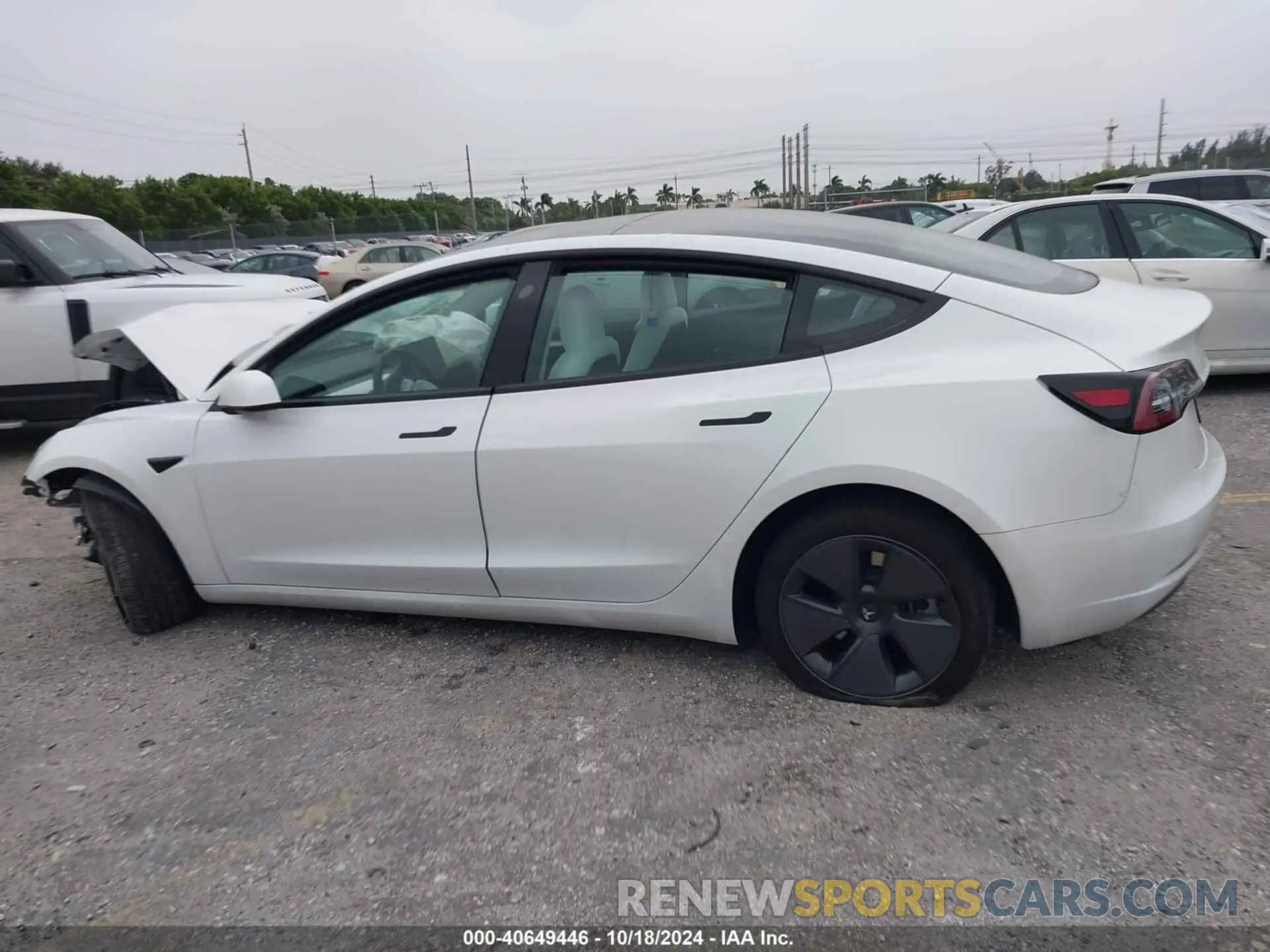 13 fotografías del automóvil dañado 5YJ3E1EA0PF383634 TESLA MODEL 3 2023