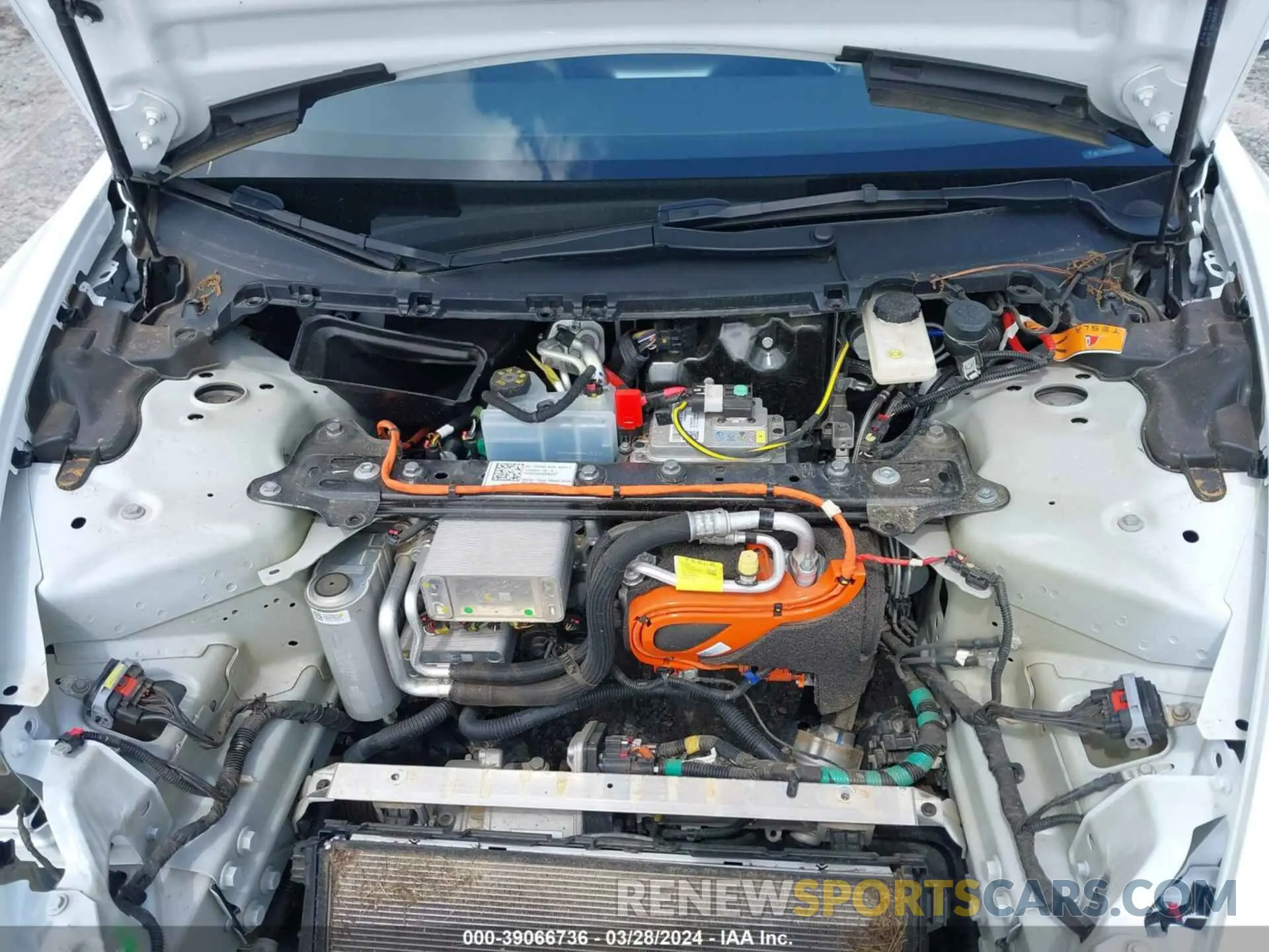 10 fotografías del automóvil dañado 5YJ3E1EA0PF406572 TESLA MODEL 3 2023