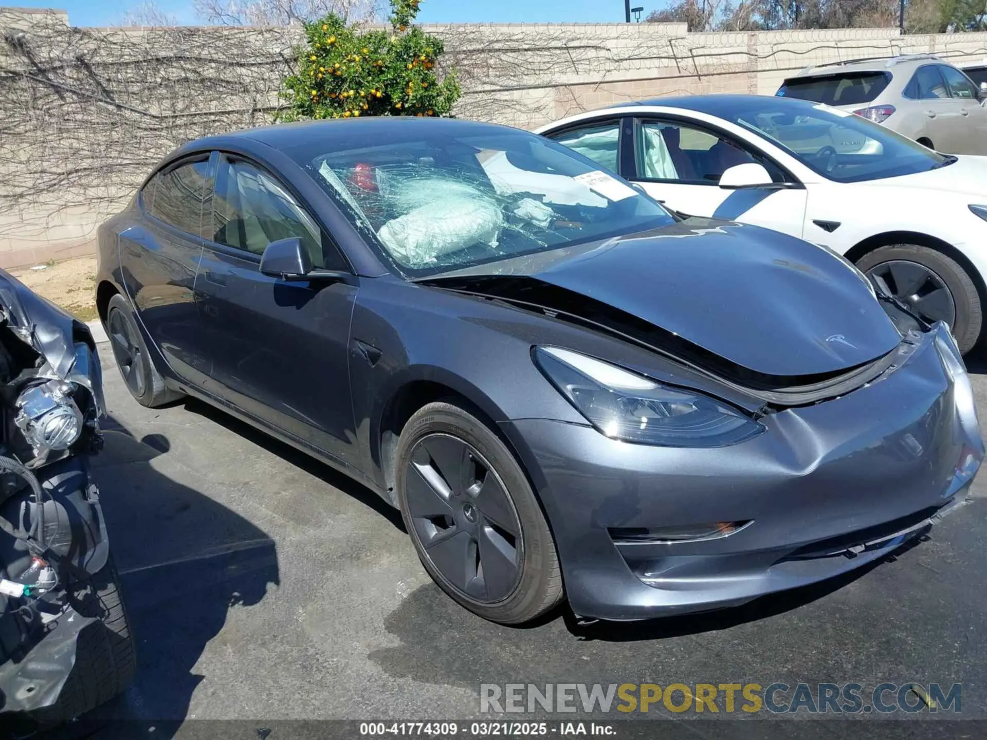 12 fotografías del automóvil dañado 5YJ3E1EA0PF408774 TESLA MODEL 3 2023