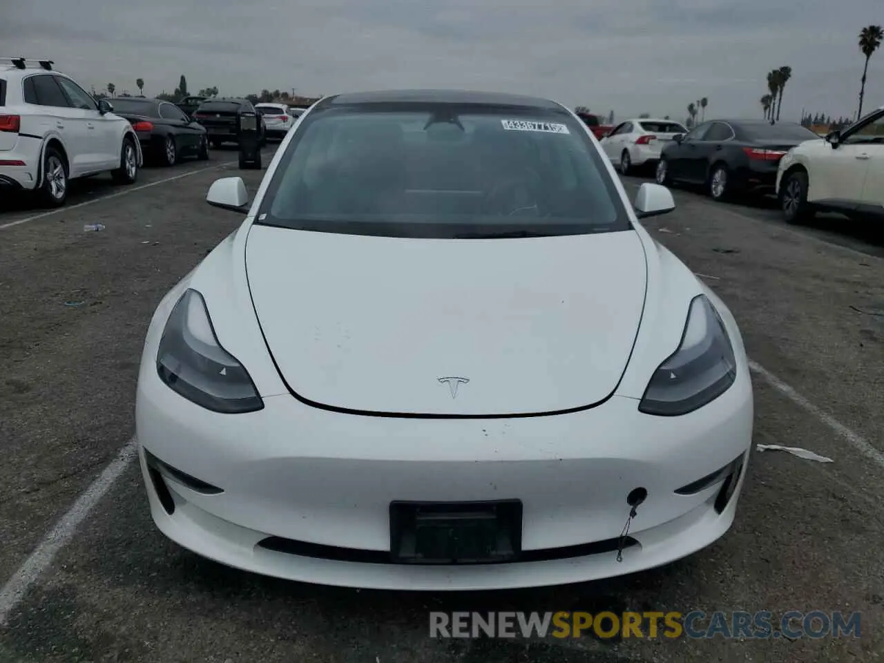 5 fotografías del automóvil dañado 5YJ3E1EA0PF450605 TESLA MODEL 3 2023