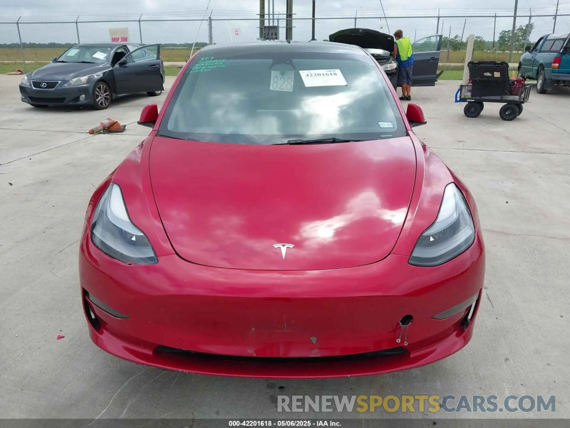 11 fotografías del automóvil dañado 5YJ3E1EA0PF455058 TESLA MODEL 3 2023