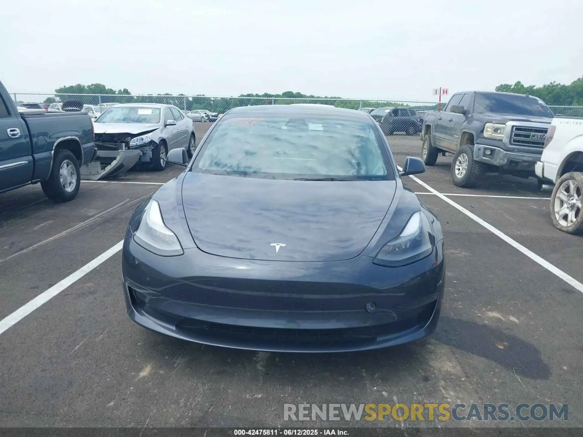 11 fotografías del automóvil dañado 5YJ3E1EA0PF495110 TESLA MODEL 3 2023