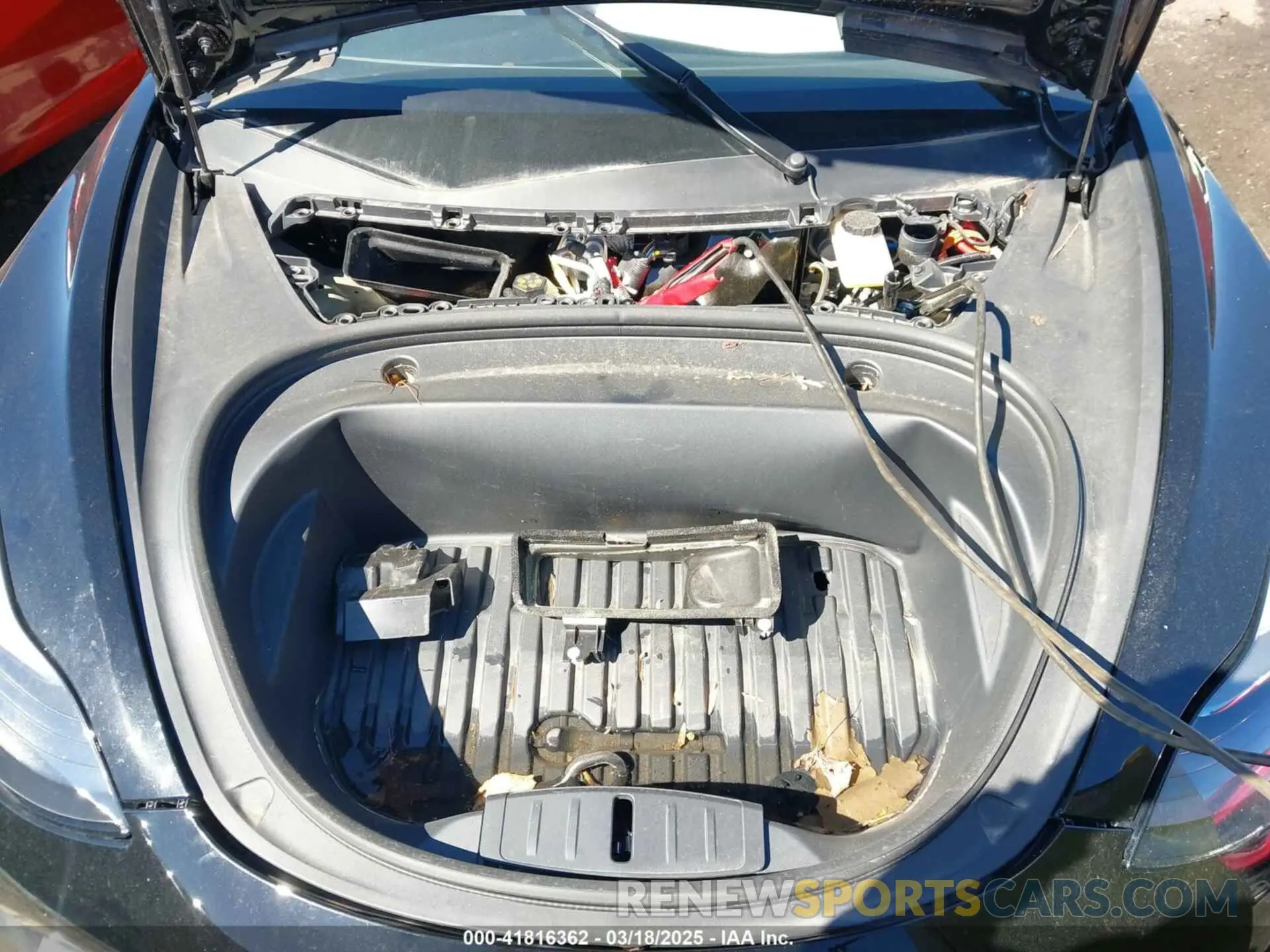 10 fotografías del automóvil dañado 5YJ3E1EA0PF546332 TESLA MODEL 3 2023