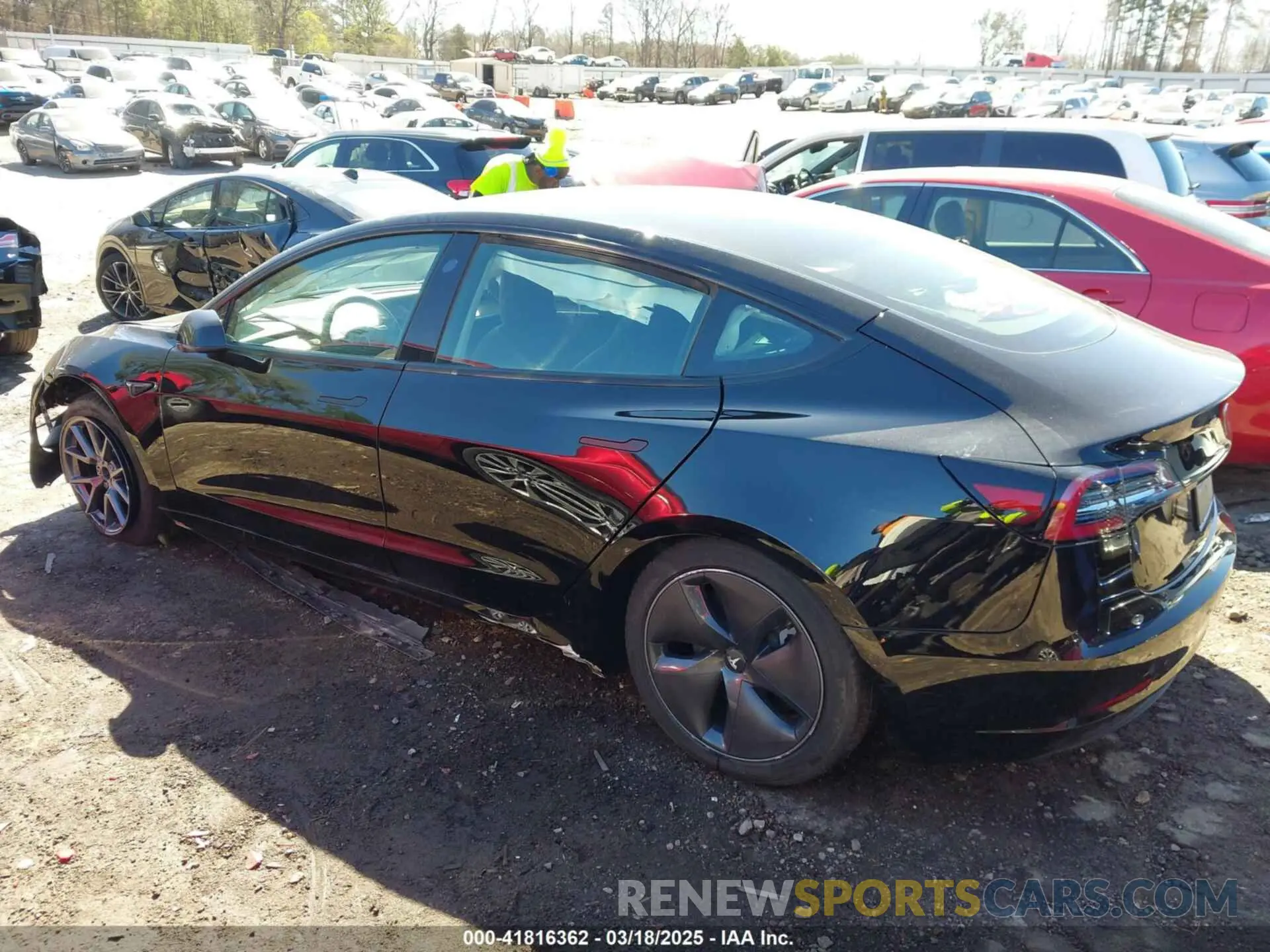 14 fotografías del automóvil dañado 5YJ3E1EA0PF546332 TESLA MODEL 3 2023