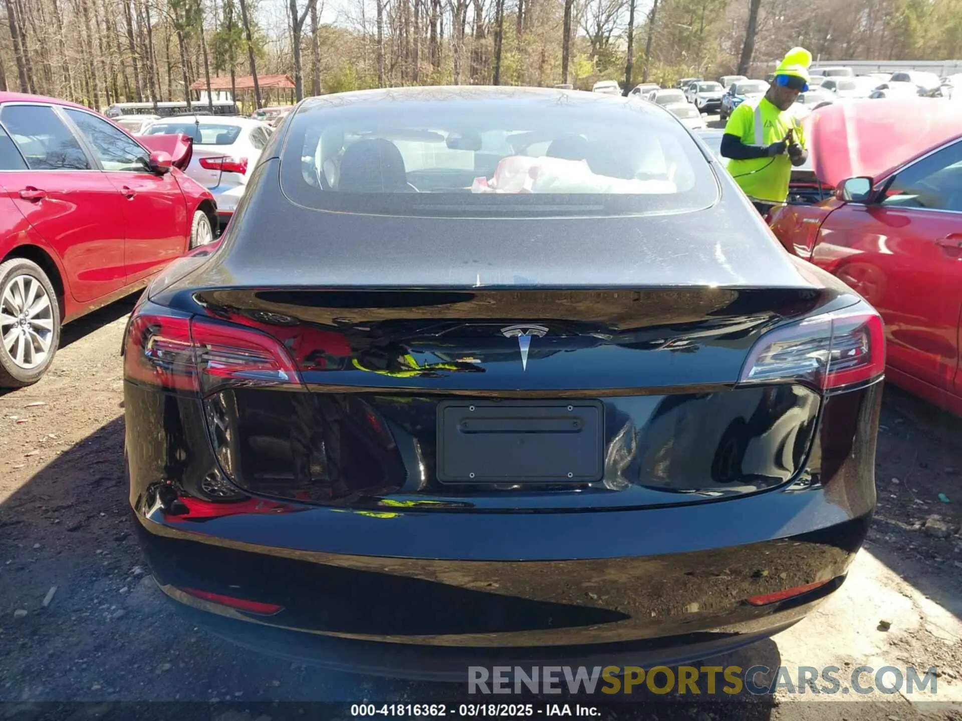 16 fotografías del automóvil dañado 5YJ3E1EA0PF546332 TESLA MODEL 3 2023