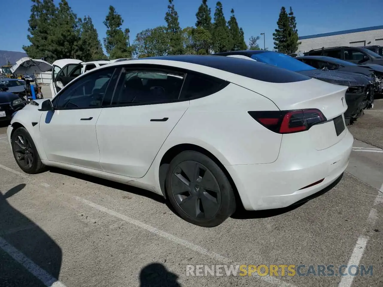 2 fotografías del automóvil dañado 5YJ3E1EA0PF549490 TESLA MODEL 3 2023