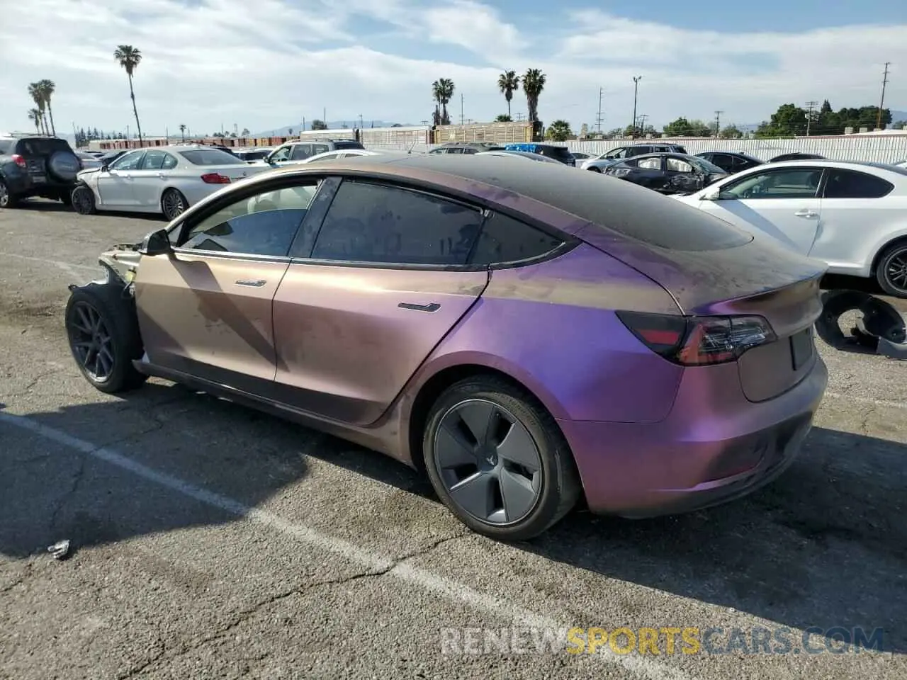 2 fotografías del automóvil dañado 5YJ3E1EA0PF551630 TESLA MODEL 3 2023