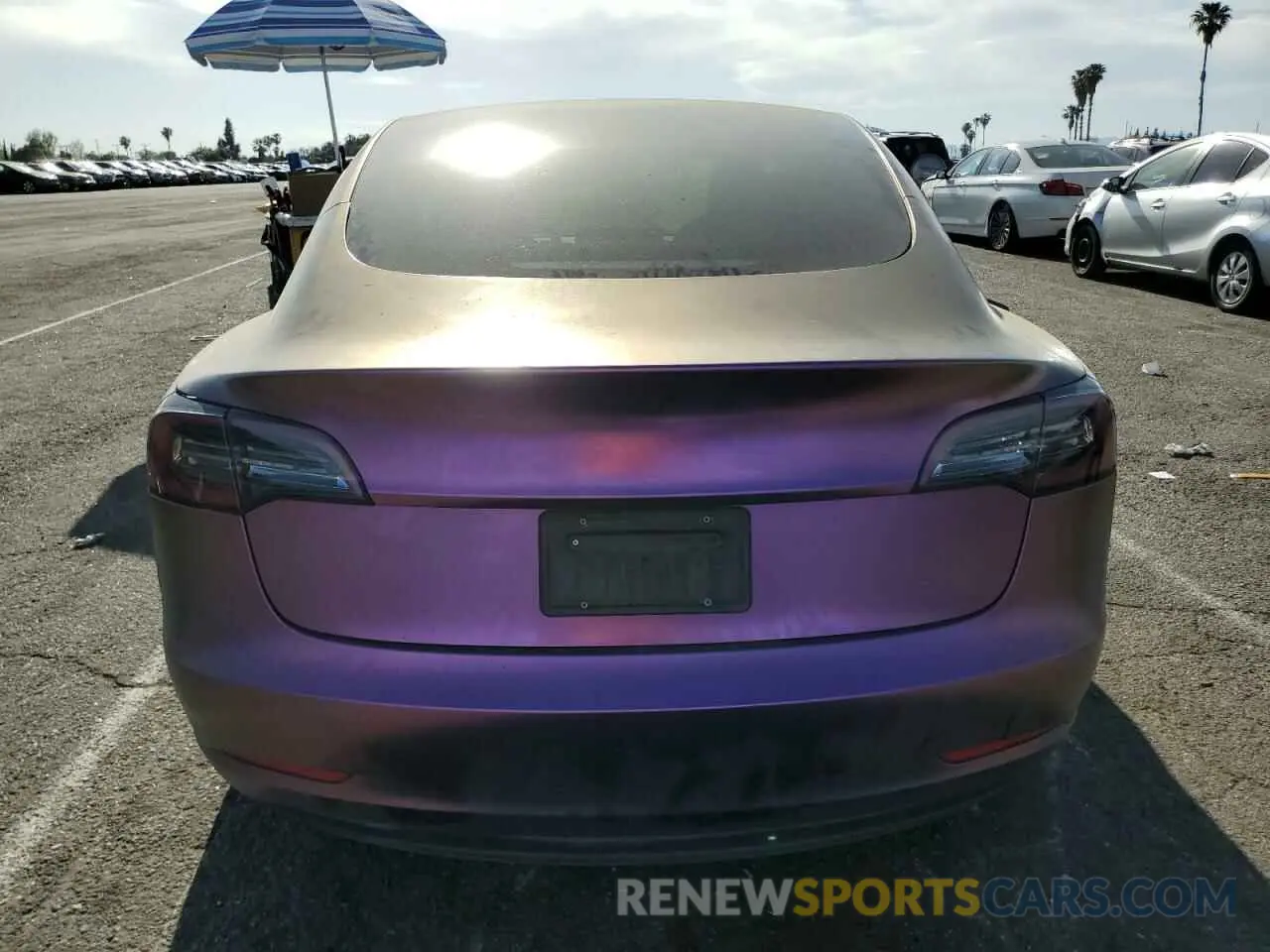 6 fotografías del automóvil dañado 5YJ3E1EA0PF551630 TESLA MODEL 3 2023
