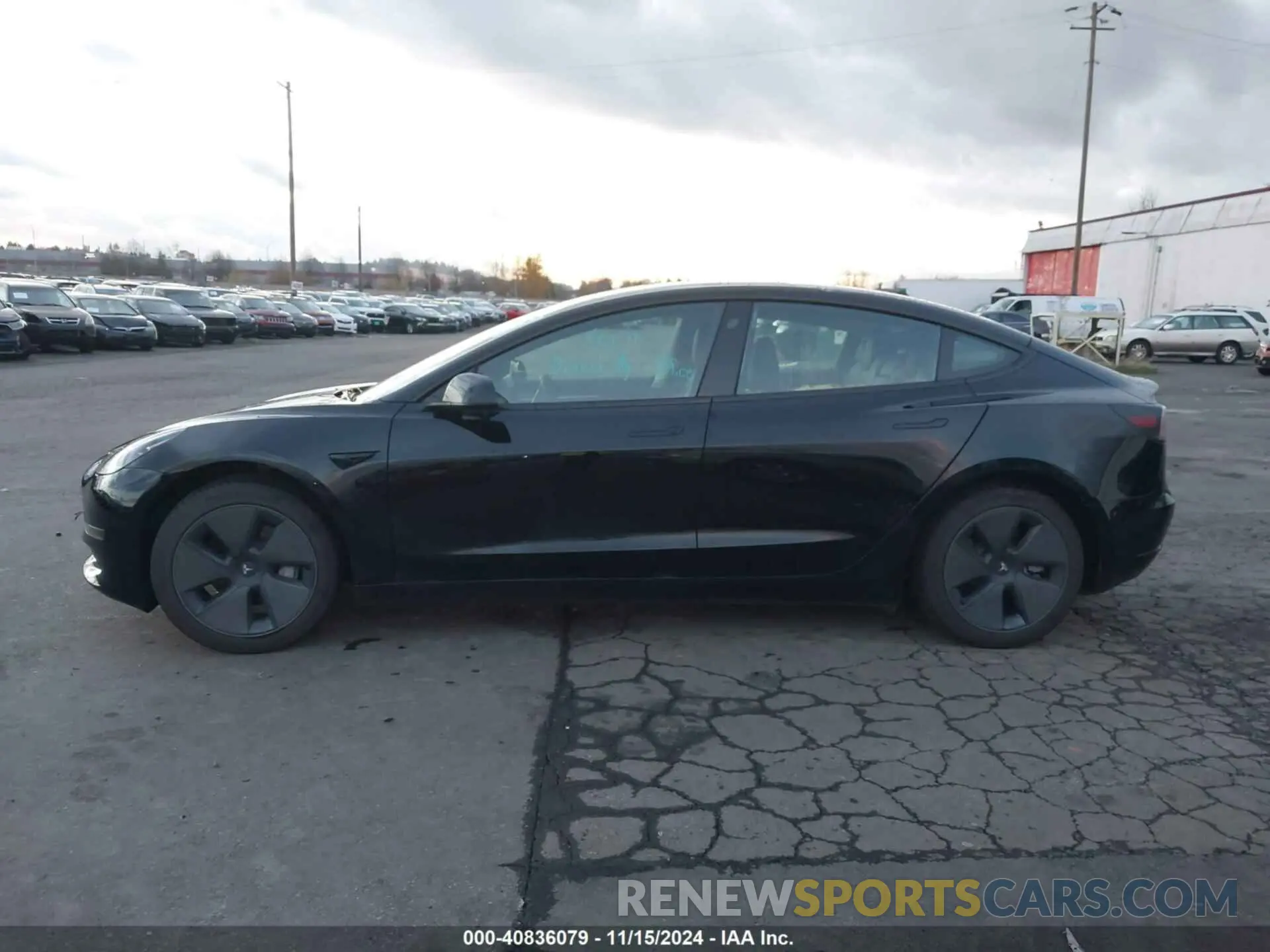 13 fotografías del automóvil dañado 5YJ3E1EA0PF560814 TESLA MODEL 3 2023