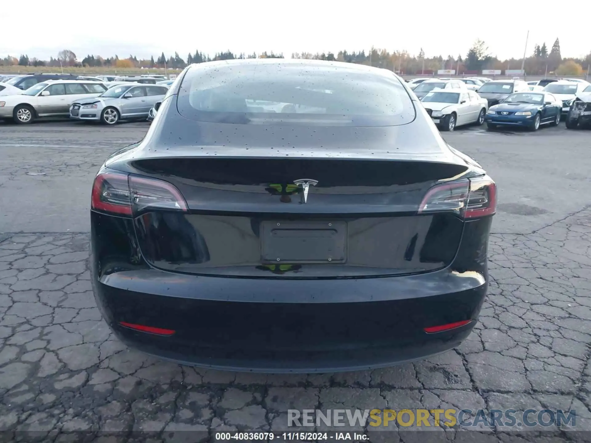 15 fotografías del automóvil dañado 5YJ3E1EA0PF560814 TESLA MODEL 3 2023