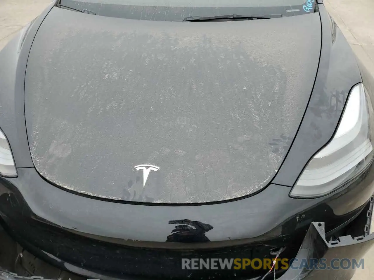 12 fotografías del automóvil dañado 5YJ3E1EA0PF565365 TESLA MODEL 3 2023