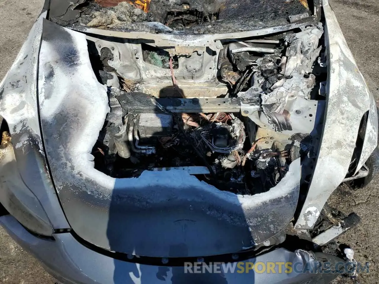 11 fotografías del automóvil dañado 5YJ3E1EA0PF579119 TESLA MODEL 3 2023