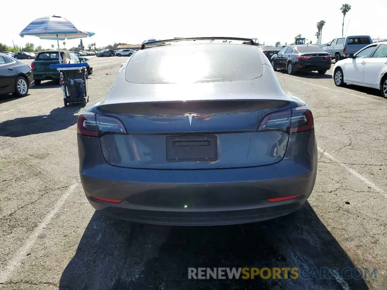 6 fotografías del automóvil dañado 5YJ3E1EA0PF579119 TESLA MODEL 3 2023