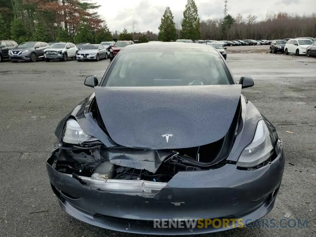5 fotografías del automóvil dañado 5YJ3E1EA0PF688261 TESLA MODEL 3 2023