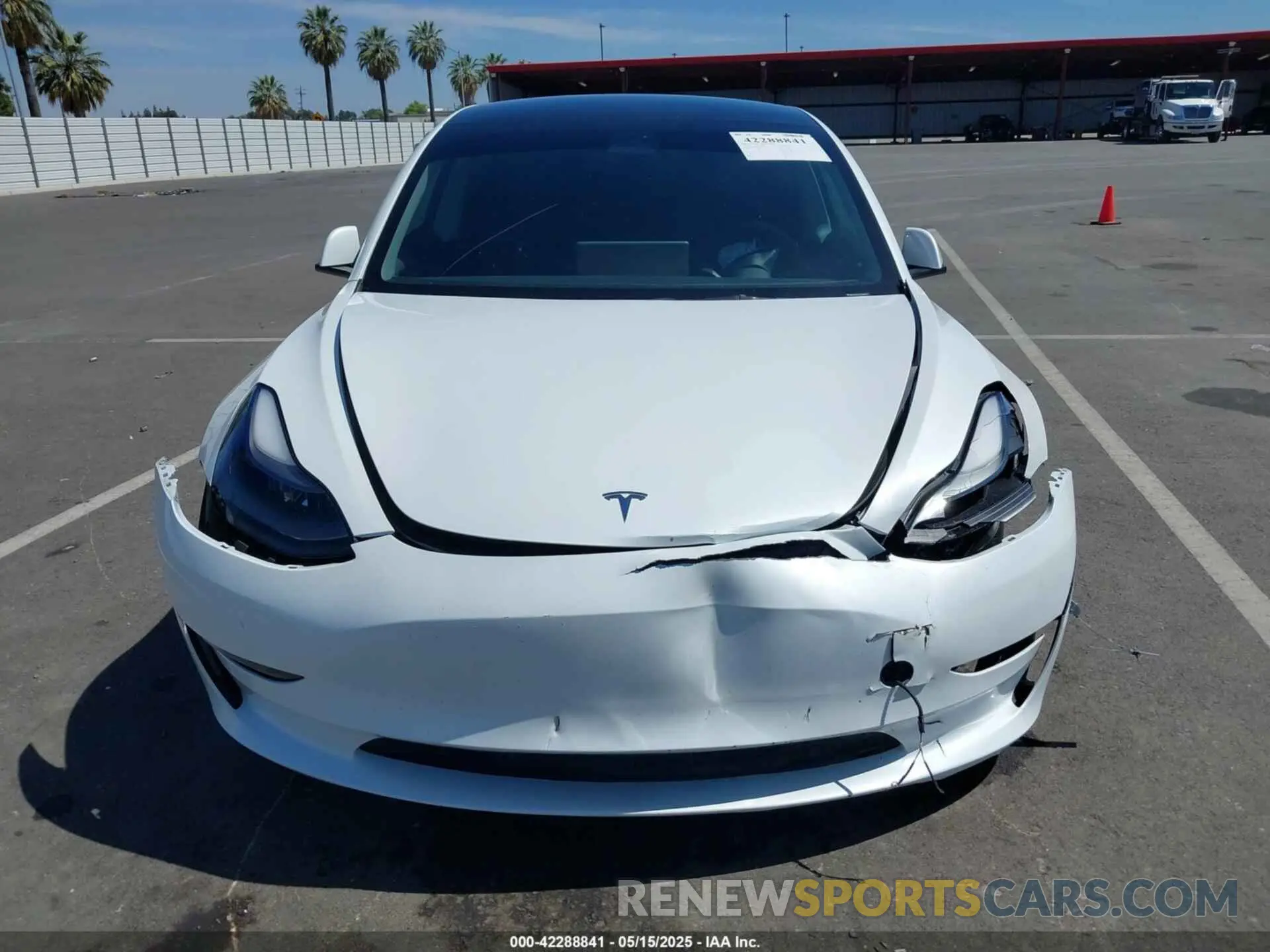 12 fotografías del automóvil dañado 5YJ3E1EA1PF431772 TESLA MODEL 3 2023