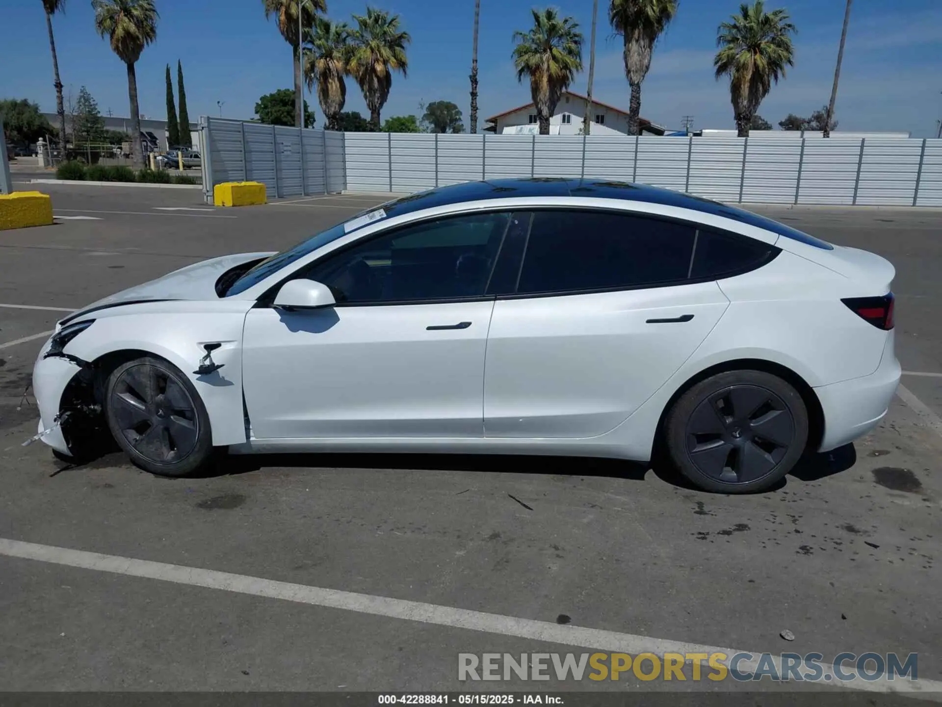 14 fotografías del automóvil dañado 5YJ3E1EA1PF431772 TESLA MODEL 3 2023