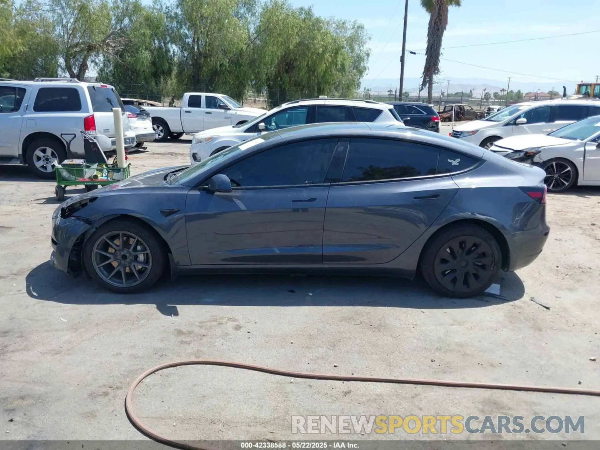 14 fotografías del automóvil dañado 5YJ3E1EA1PF464013 TESLA MODEL 3 2023