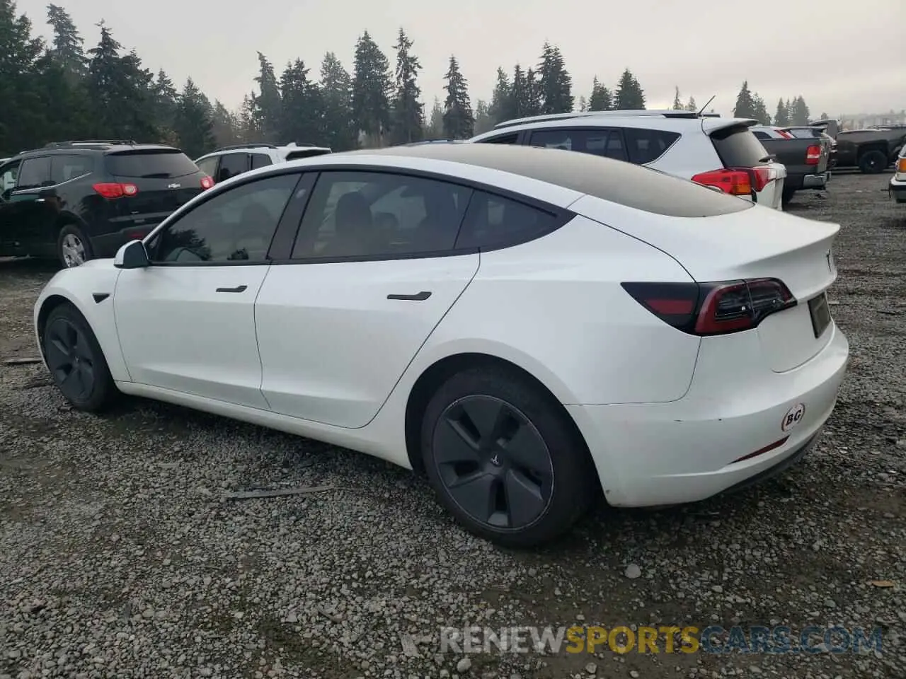 2 fotografías del automóvil dañado 5YJ3E1EA1PF479479 TESLA MODEL 3 2023