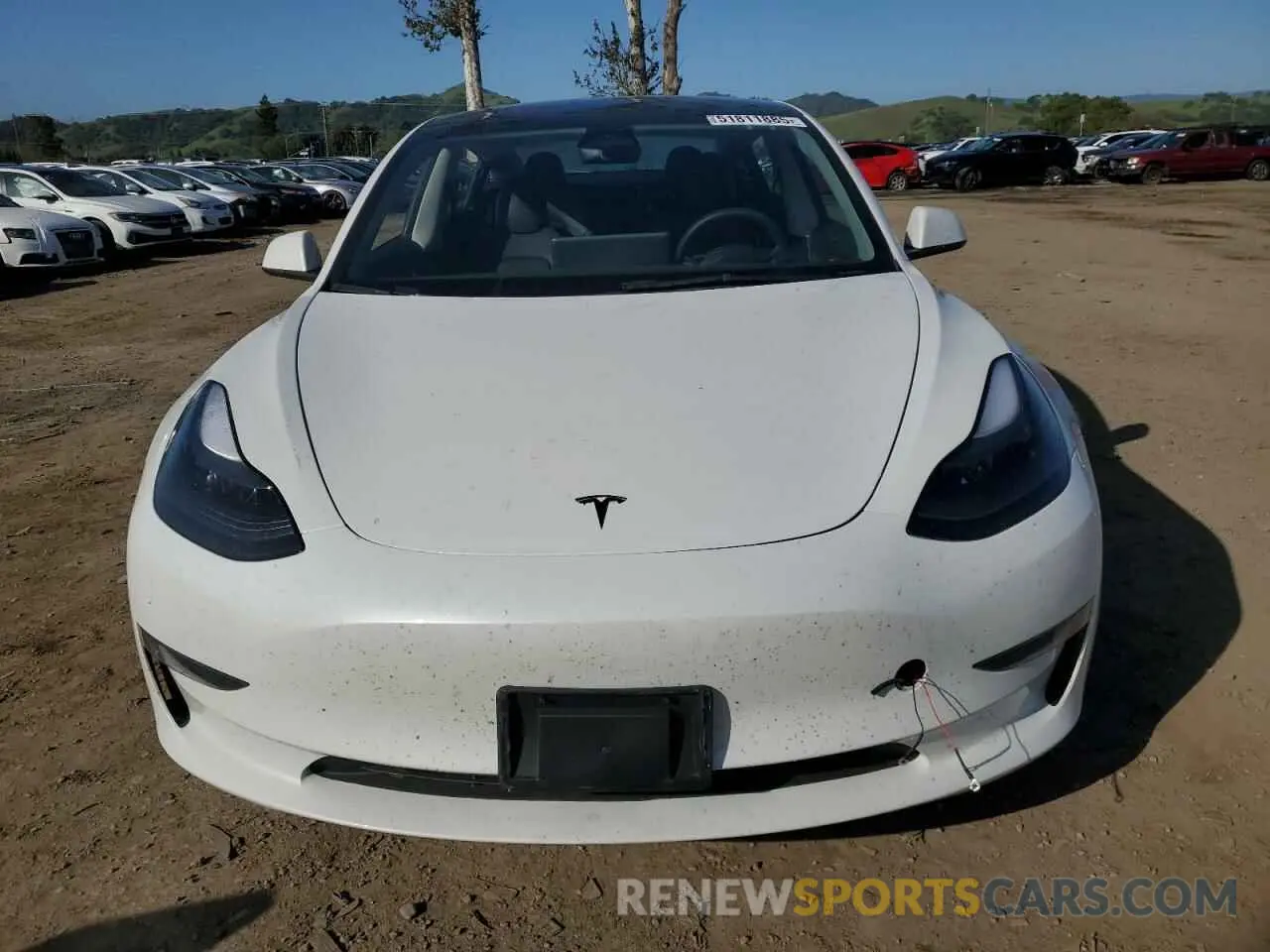 5 fotografías del automóvil dañado 5YJ3E1EA1PF497920 TESLA MODEL 3 2023