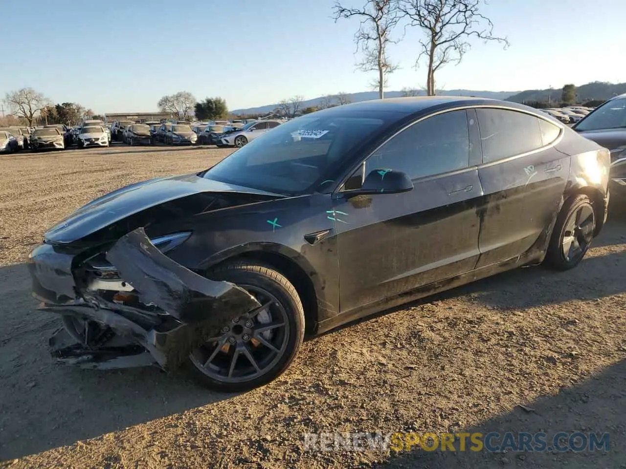 1 fotografías del automóvil dañado 5YJ3E1EA1PF504073 TESLA MODEL 3 2023
