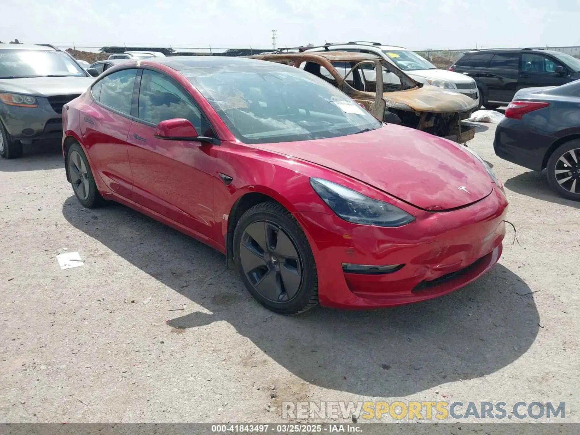 1 fotografías del automóvil dañado 5YJ3E1EA1PF509094 TESLA MODEL 3 2023