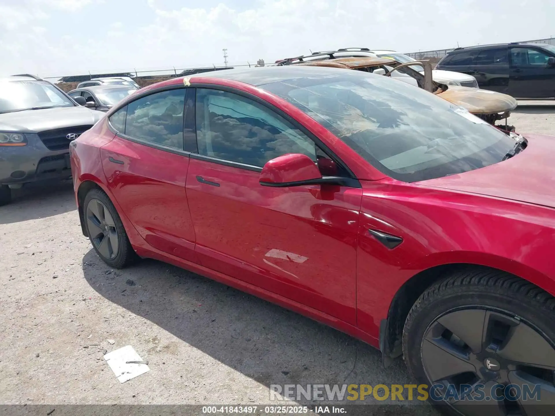 12 fotografías del automóvil dañado 5YJ3E1EA1PF509094 TESLA MODEL 3 2023