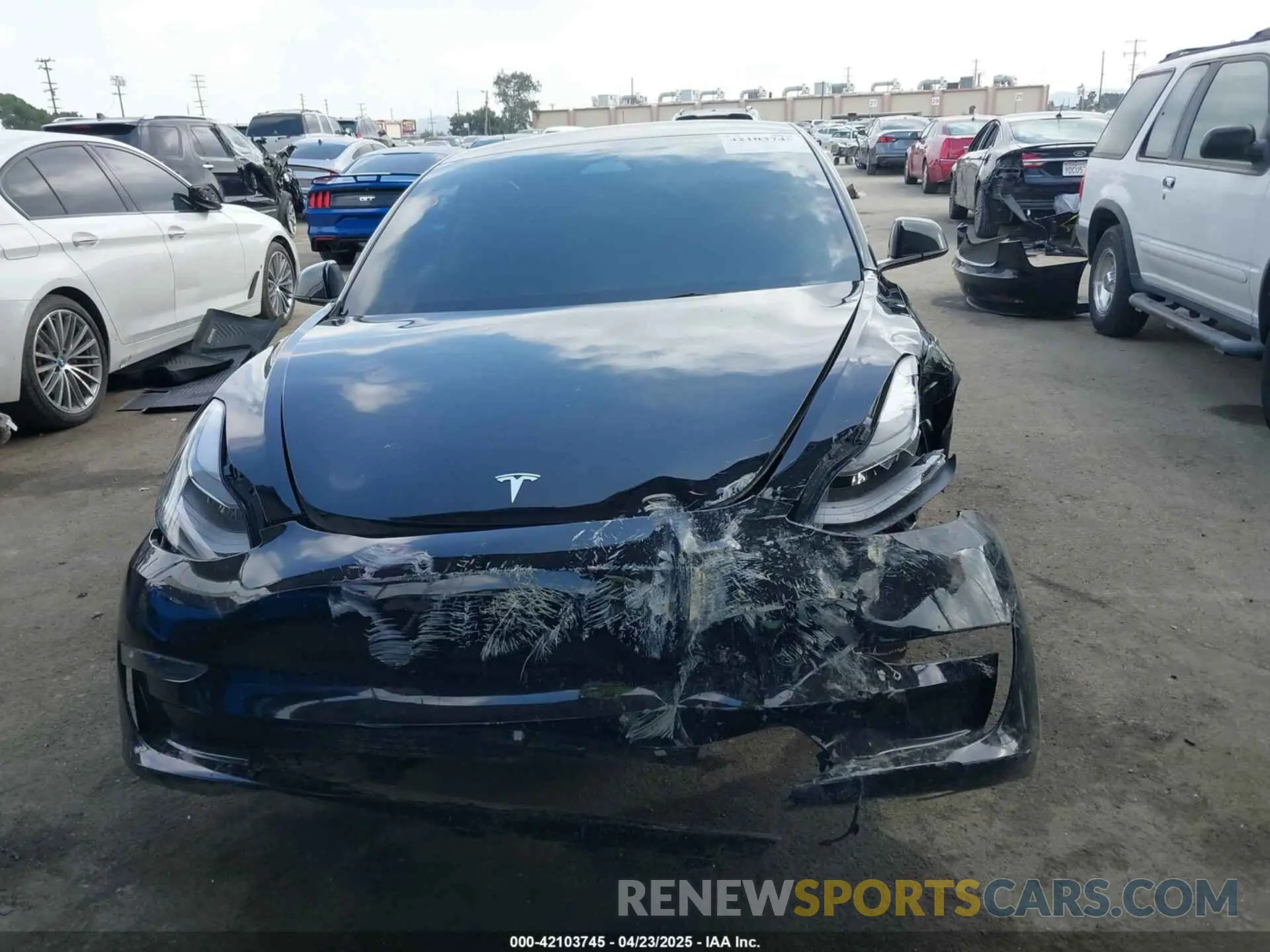 12 fotografías del automóvil dañado 5YJ3E1EA1PF546324 TESLA MODEL 3 2023