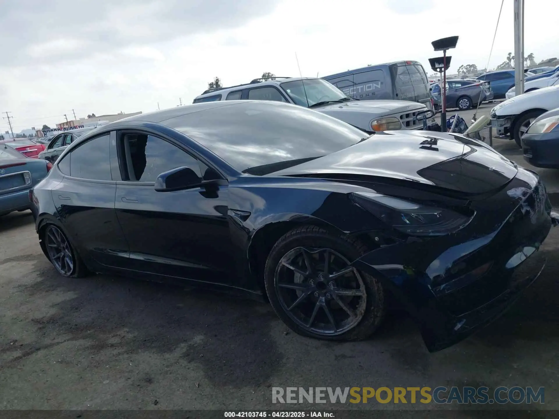 13 fotografías del automóvil dañado 5YJ3E1EA1PF546324 TESLA MODEL 3 2023