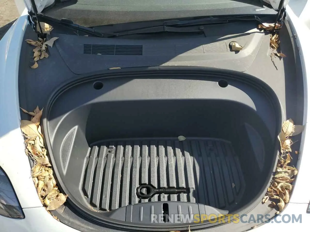 11 fotografías del automóvil dañado 5YJ3E1EA1PF546534 TESLA MODEL 3 2023