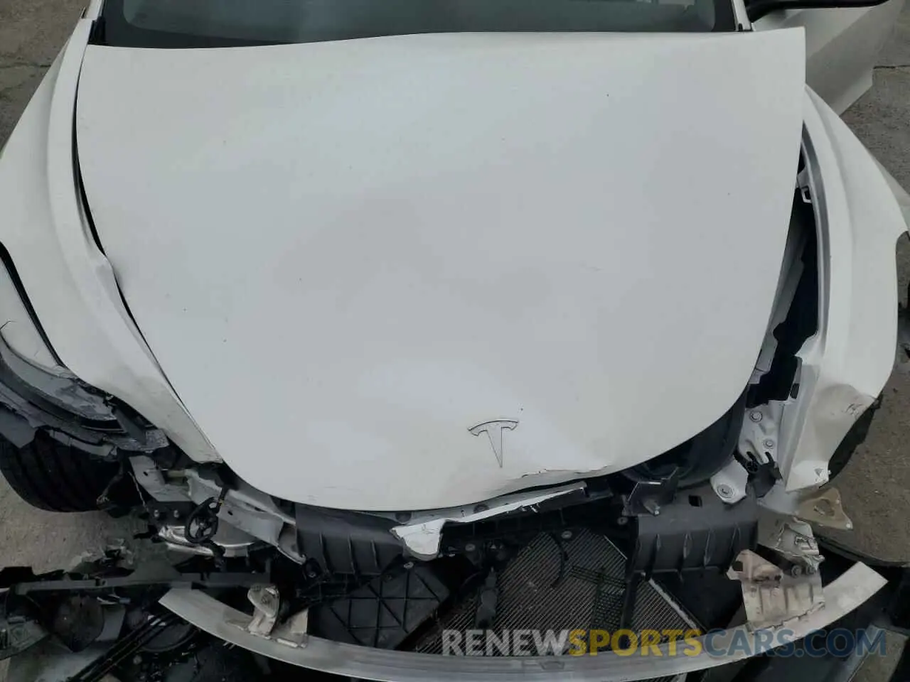 11 fotografías del automóvil dañado 5YJ3E1EA1PF561521 TESLA MODEL 3 2023