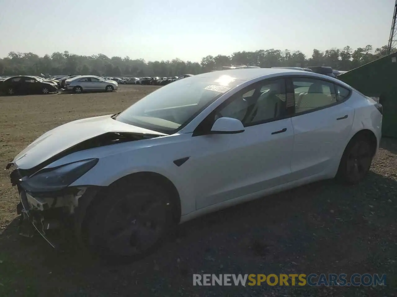 1 fotografías del automóvil dañado 5YJ3E1EA1PF564693 TESLA MODEL 3 2023