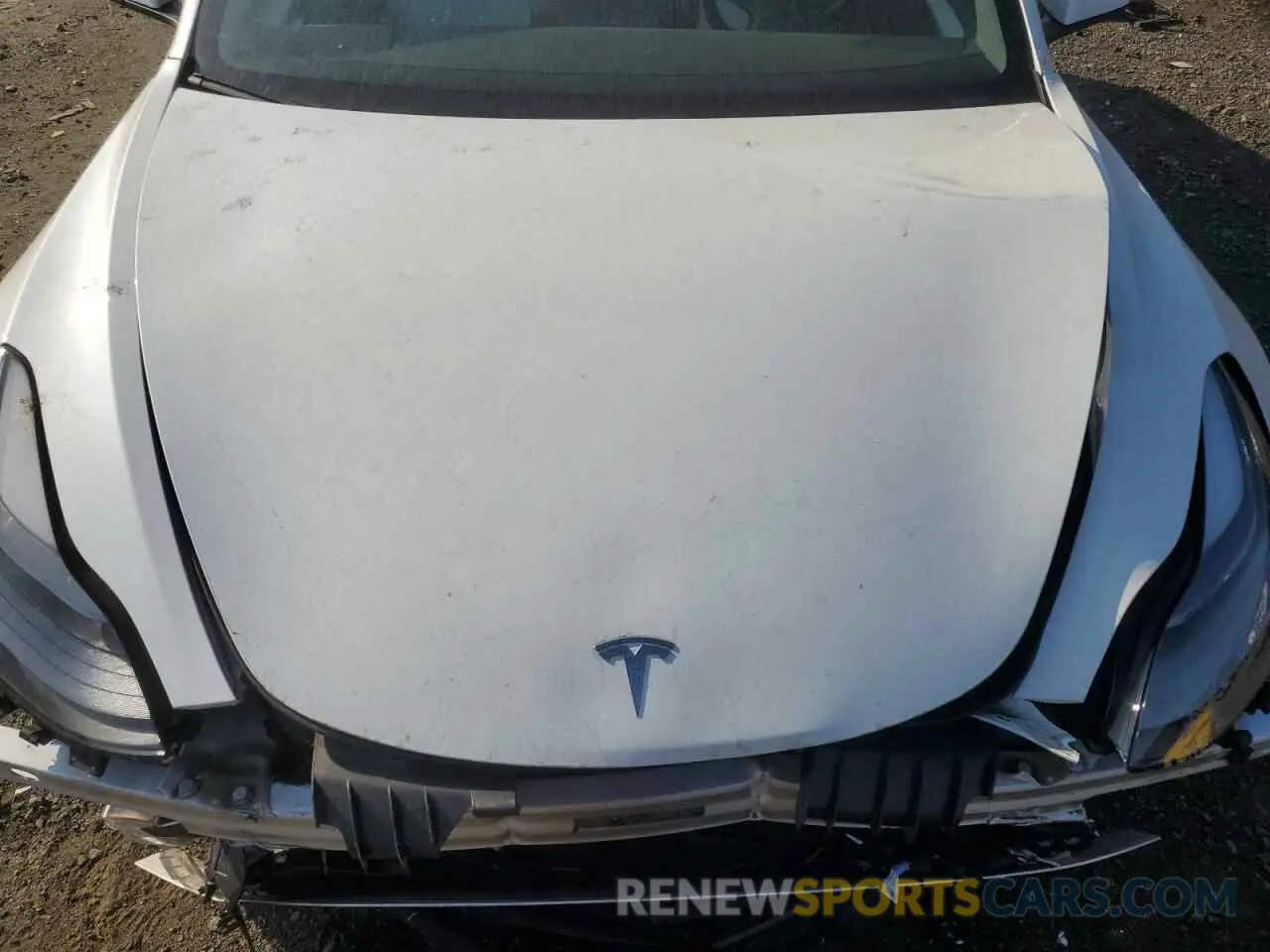 11 fotografías del automóvil dañado 5YJ3E1EA1PF564693 TESLA MODEL 3 2023