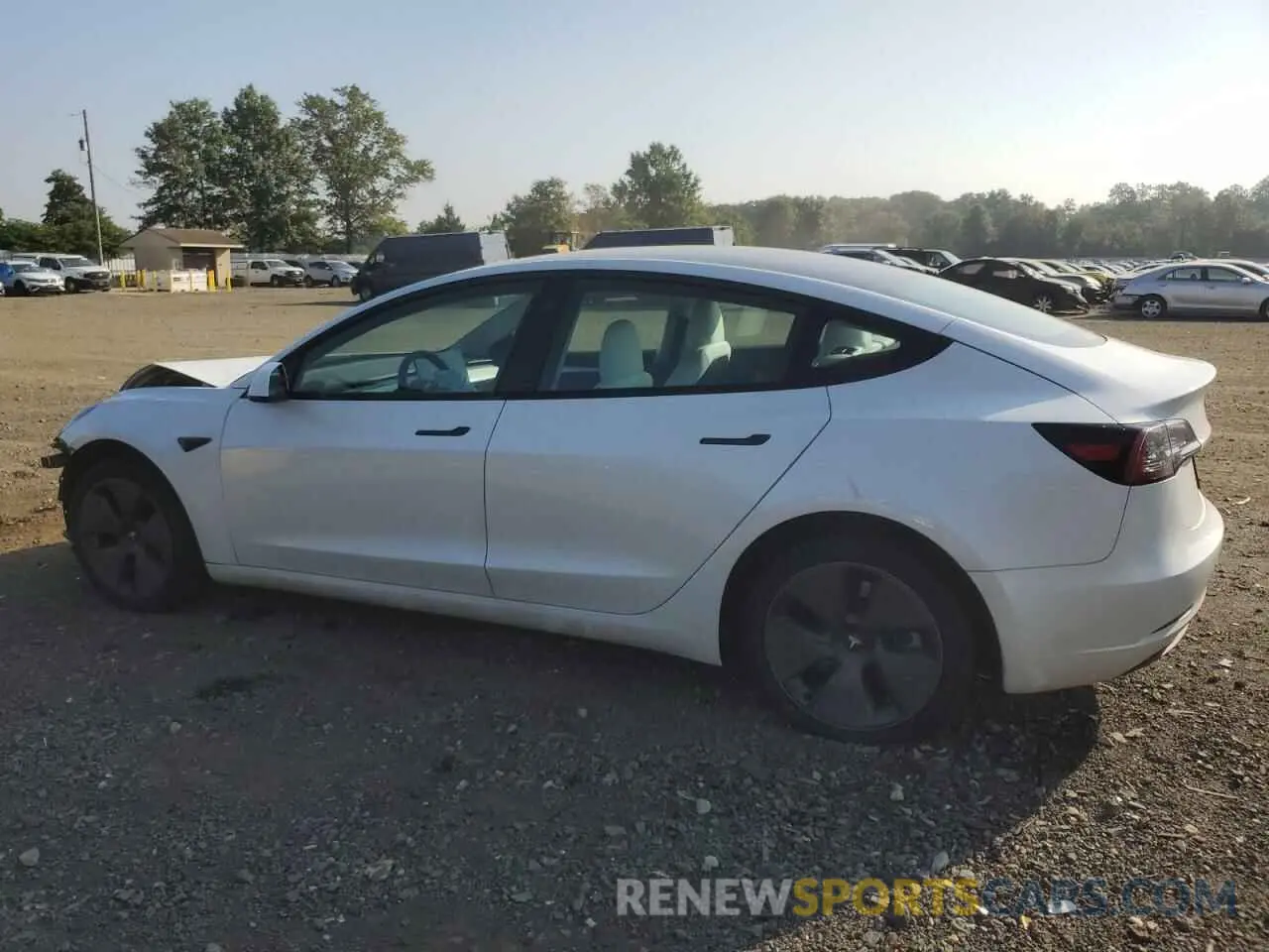 2 fotografías del automóvil dañado 5YJ3E1EA1PF564693 TESLA MODEL 3 2023