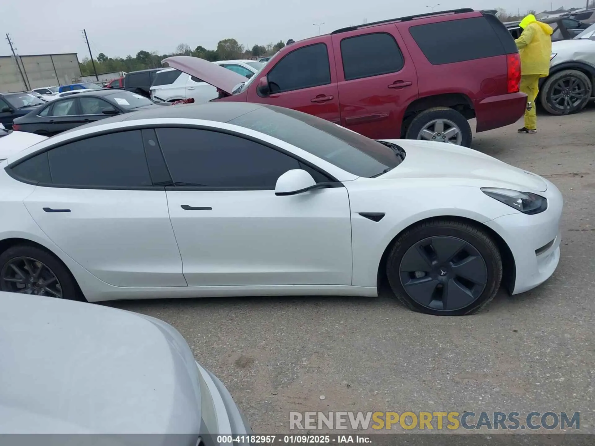 12 fotografías del automóvil dañado 5YJ3E1EA1PF567383 TESLA MODEL 3 2023