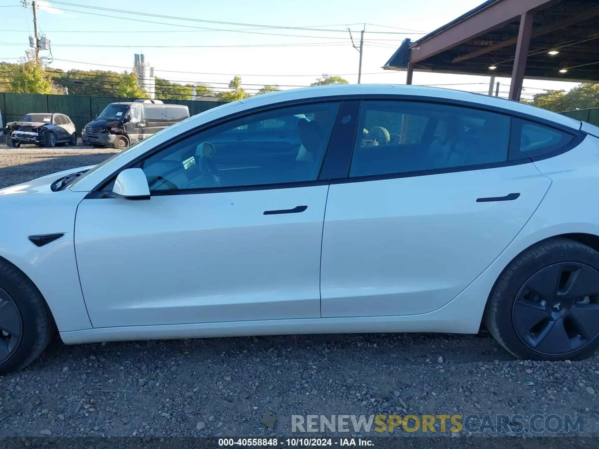 14 fotografías del automóvil dañado 5YJ3E1EA1PF570543 TESLA MODEL 3 2023