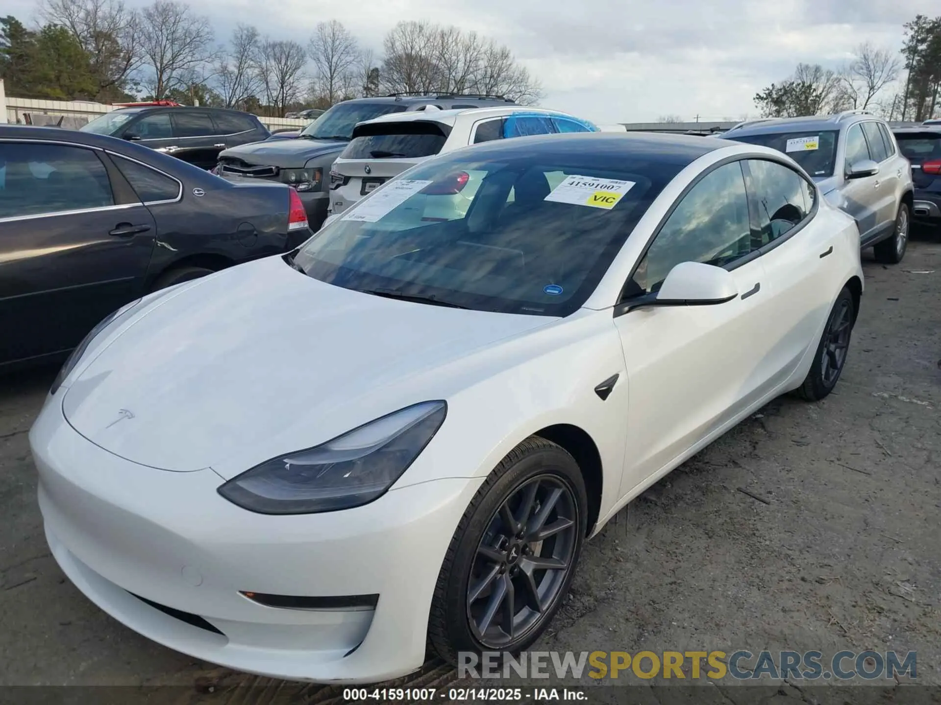 2 fotografías del automóvil dañado 5YJ3E1EA1PF600723 TESLA MODEL 3 2023