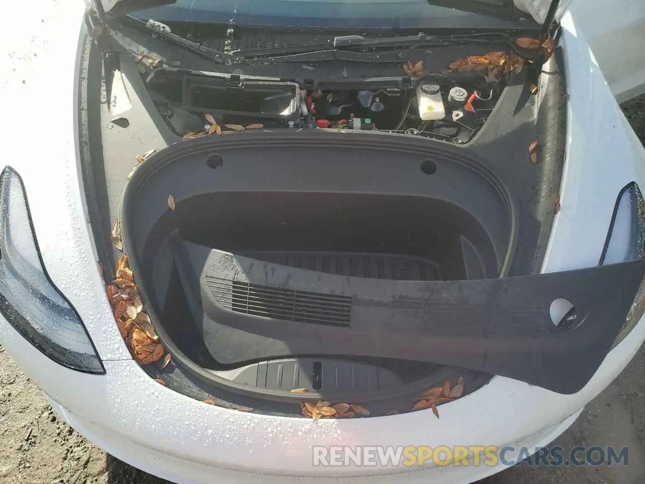 11 fotografías del automóvil dañado 5YJ3E1EA1PF640896 TESLA MODEL 3 2023