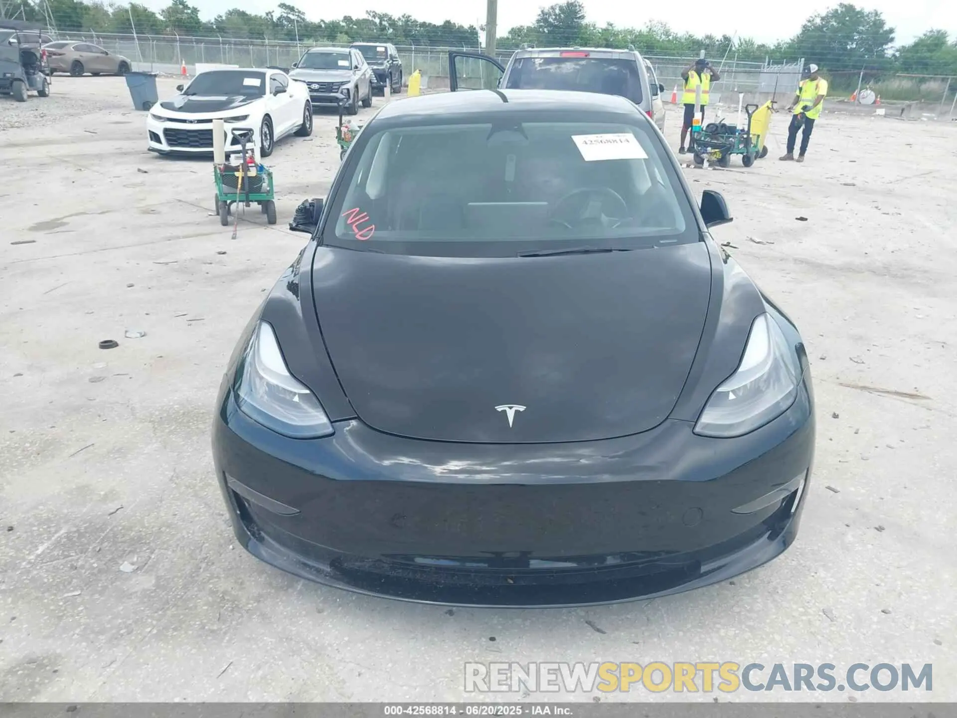 11 fotografías del automóvil dañado 5YJ3E1EA1PF657066 TESLA MODEL 3 2023