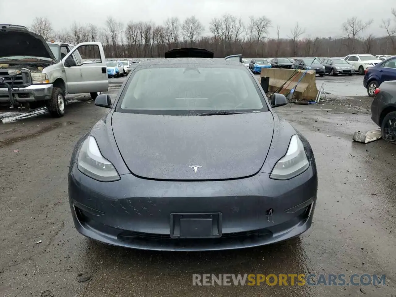 5 fotografías del automóvil dañado 5YJ3E1EA1PF662929 TESLA MODEL 3 2023