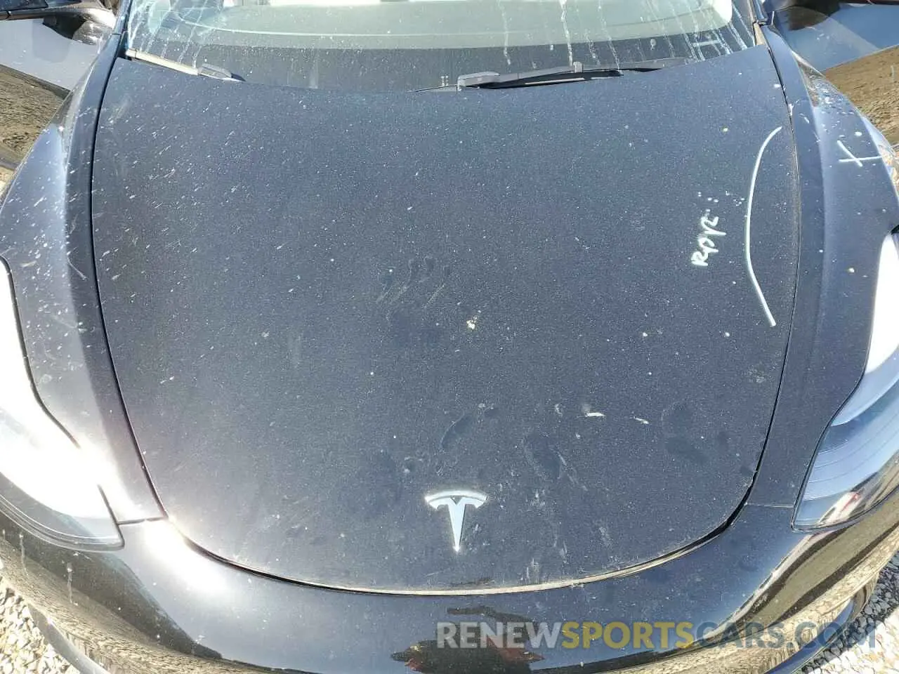 12 fotografías del automóvil dañado 5YJ3E1EA1PF685532 TESLA MODEL 3 2023