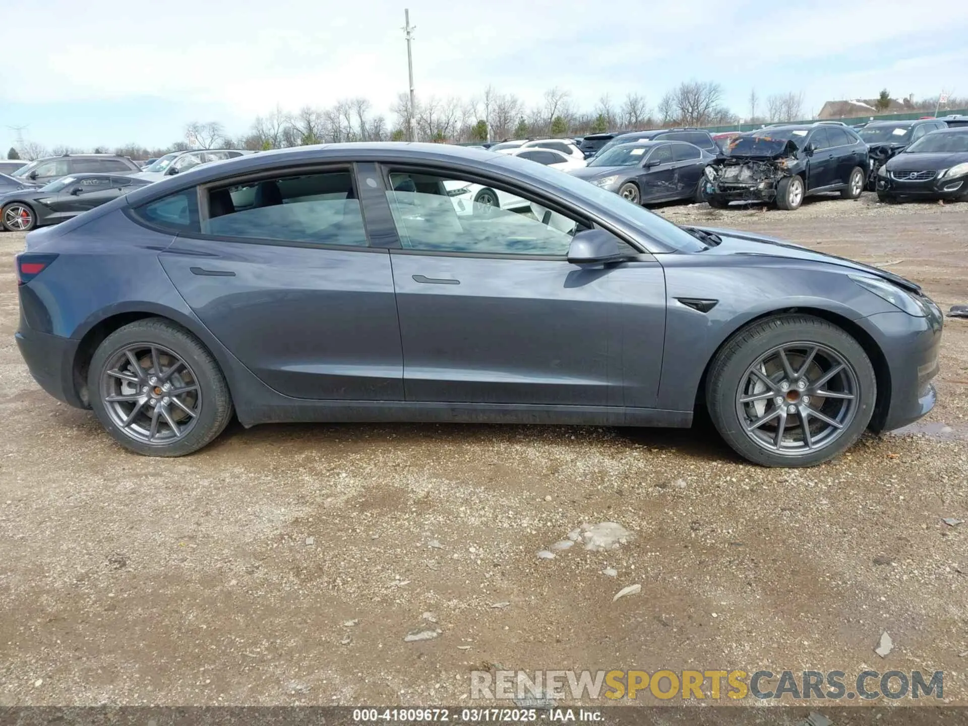 13 fotografías del automóvil dañado 5YJ3E1EA1PF716004 TESLA MODEL 3 2023