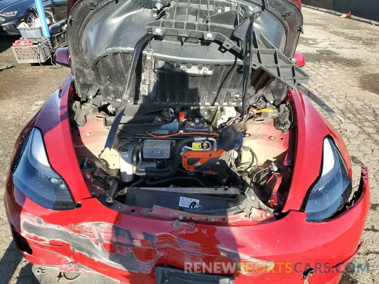 11 fotografías del automóvil dañado 5YJ3E1EA2PF447334 TESLA MODEL 3 2023