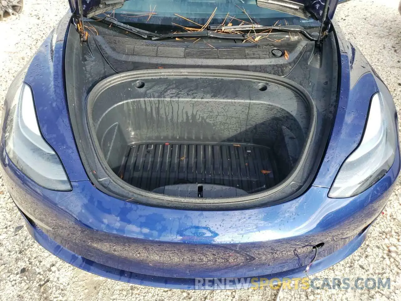 12 fotografías del automóvil dañado 5YJ3E1EA2PF448581 TESLA MODEL 3 2023
